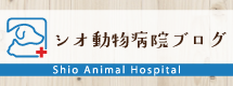 シオ動物病院ブログ