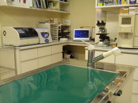 処置検査室 画像